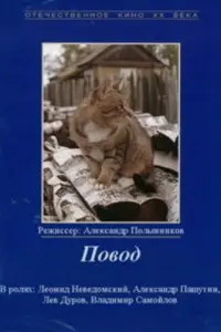 Повод